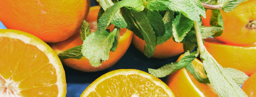 arancia e menta gelato spilamberto modena