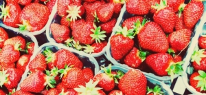 fragola fresca gelato spilamberto modena